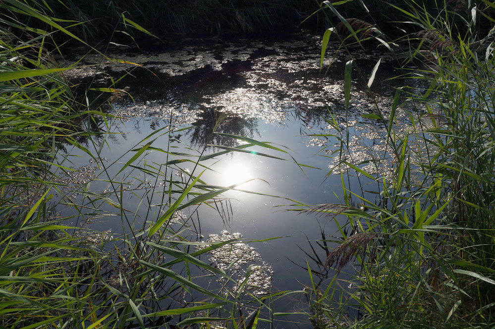 photo "Mirror for sun" tags: landscape, отражение