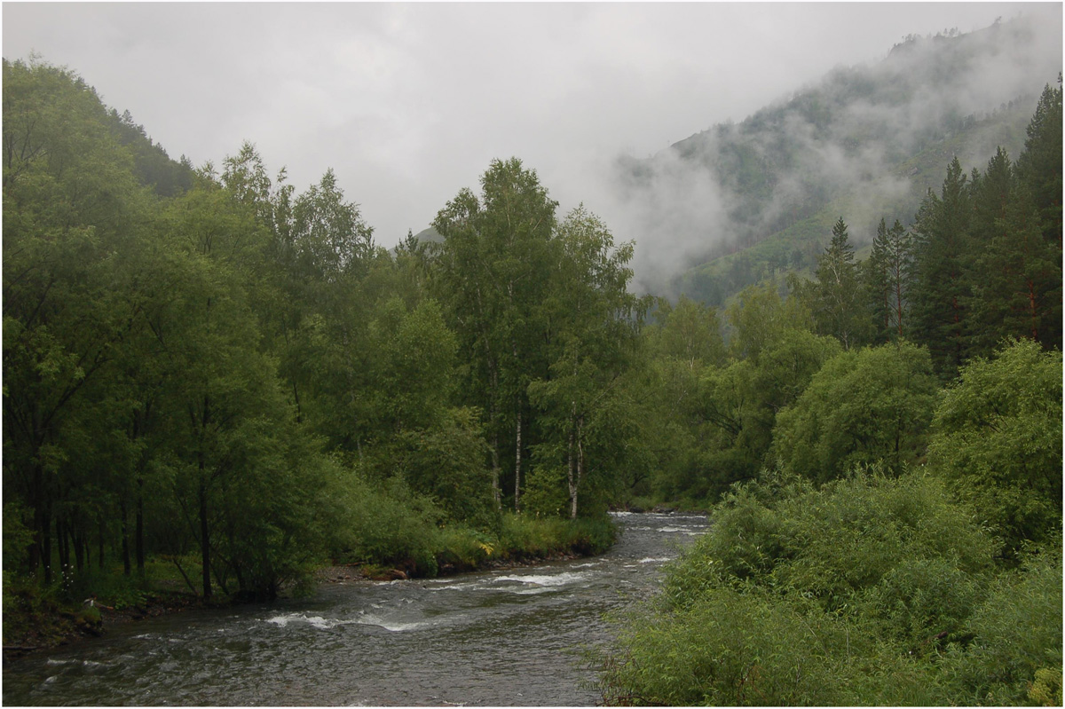 фото "утро после дождя" метки: пейзаж, горы, лес, лето, река, туман