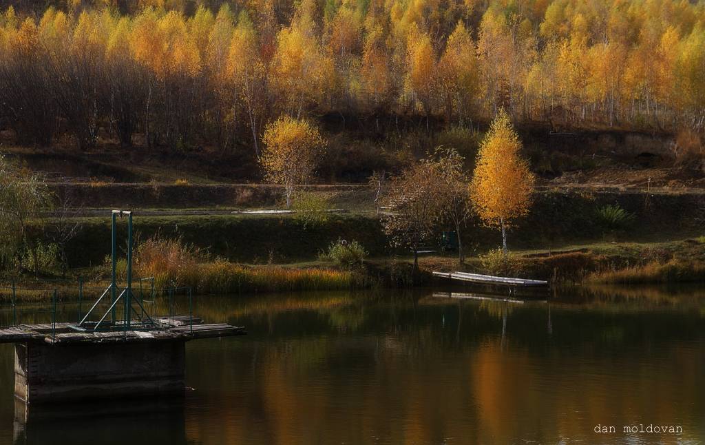 фото "pastel tomnatic" метки: природа, 