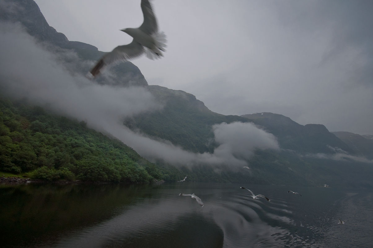 photo "***" tags: nature, travel, landscape, Europe, Norway, clouds, fog, summer, water, фьорд