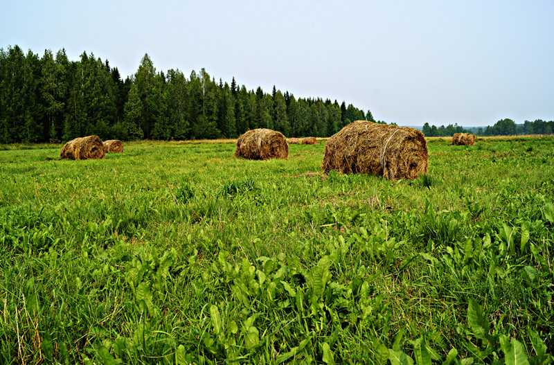 фото "*" метки: пейзаж, природа, 