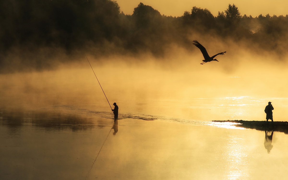 photo "***" tags: landscape, genre, fog, morning, river, рыбак