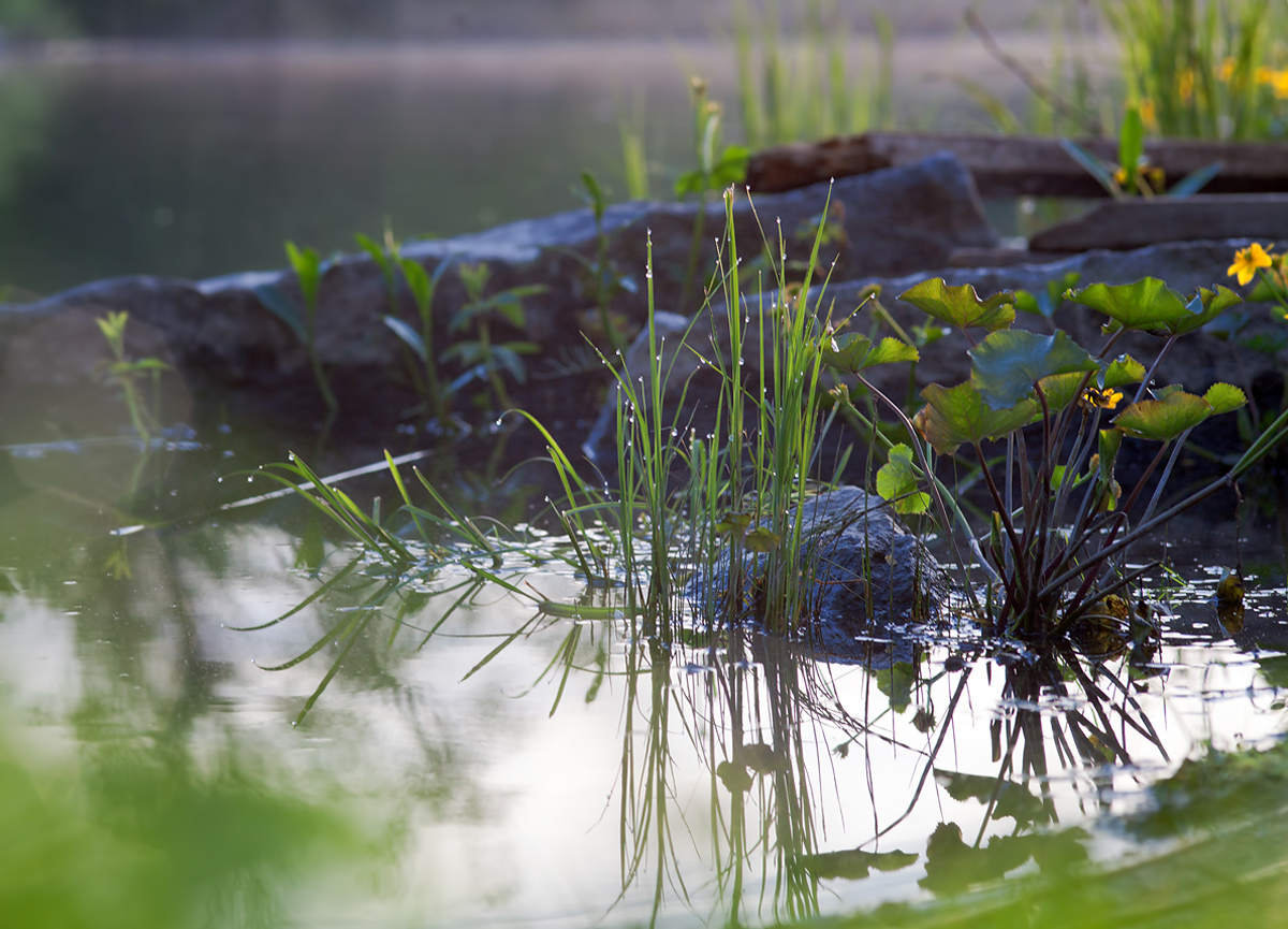 photo "***" tags: landscape, nature, 