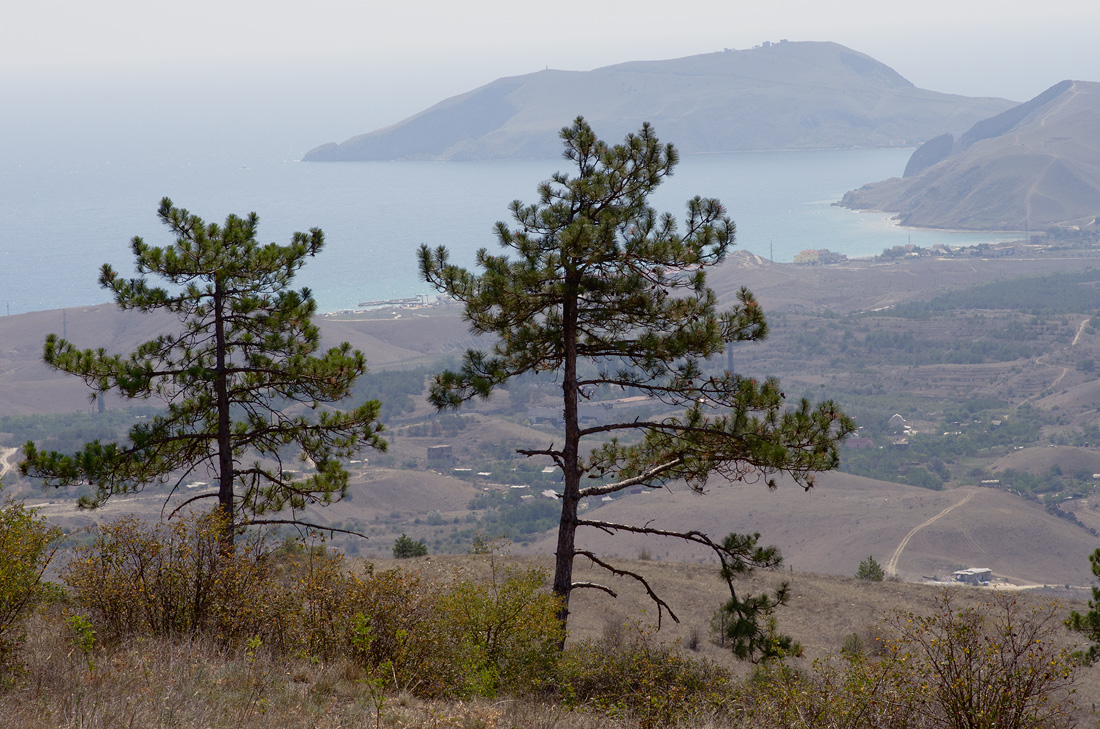 photo "***" tags: landscape, 