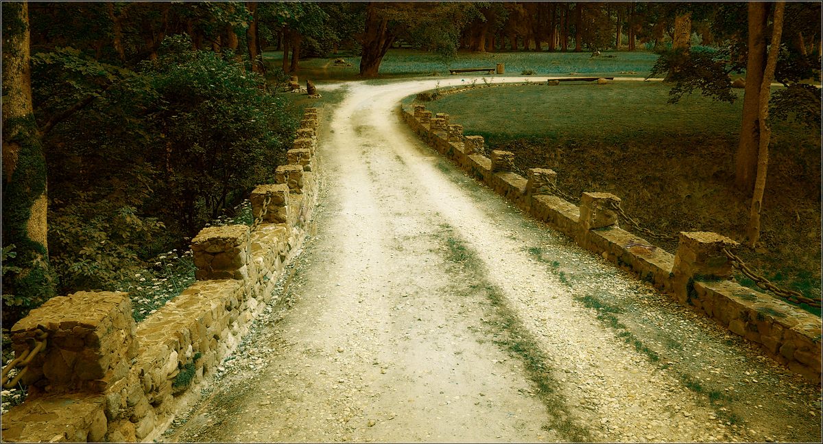 photo "Yellow road" tags: landscape, 