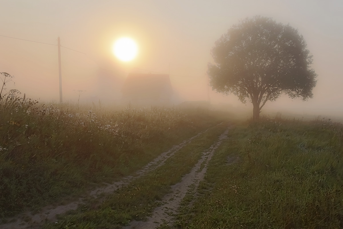 photo "***" tags: landscape, fog, morning, деревенька