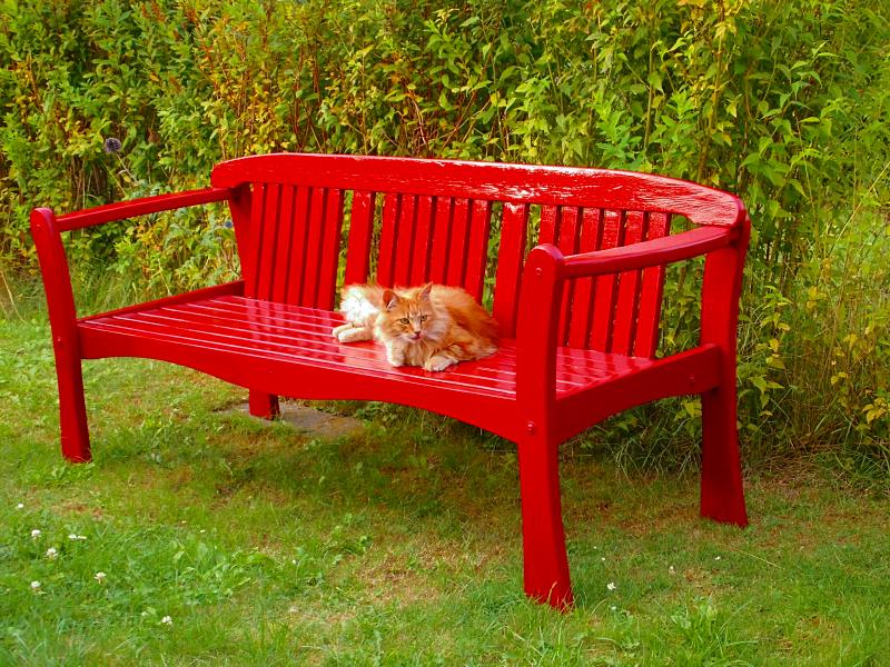 photo "The red garden bench" tags: misc., landscape, city, Europe, pets/farm animals