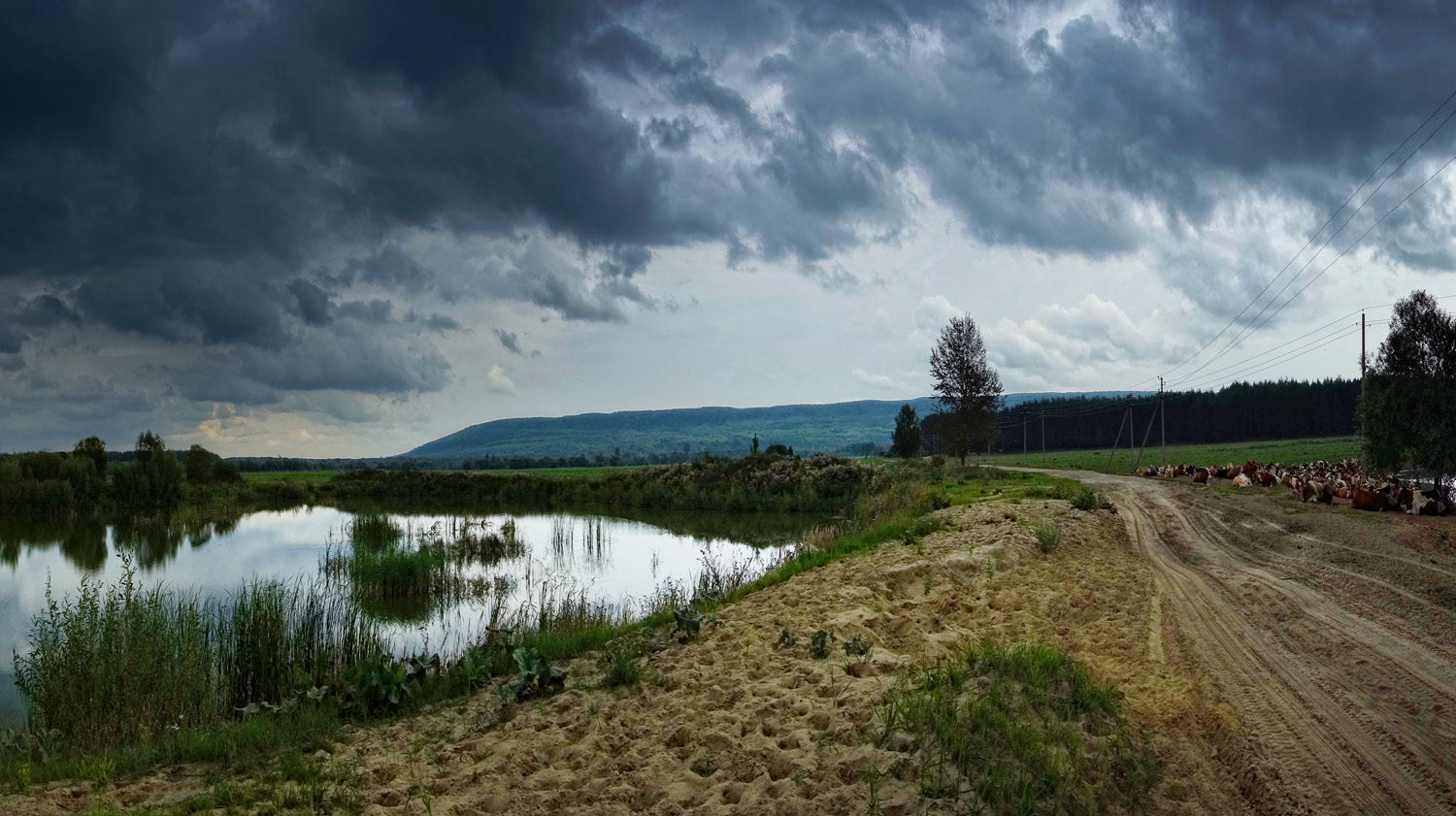 фото "Августовская дорожка" метки: пейзаж, дорога, лето, облака