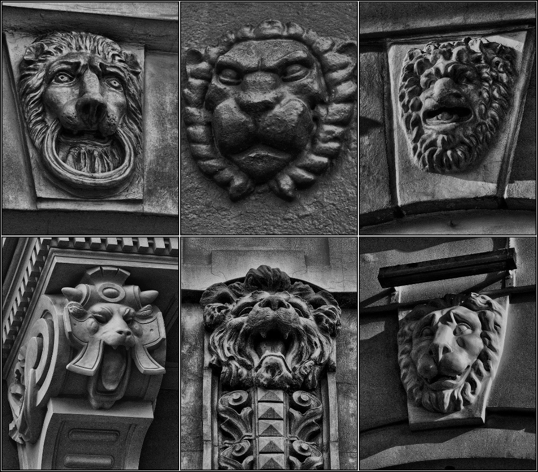 photo "Petersburg lions" tags: architecture, black&white, city, 