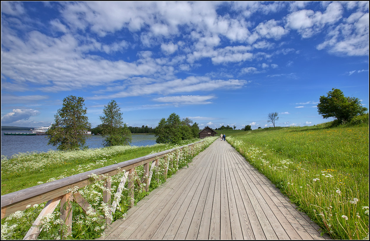 photo "way among the flowers" tags: landscape, travel, 