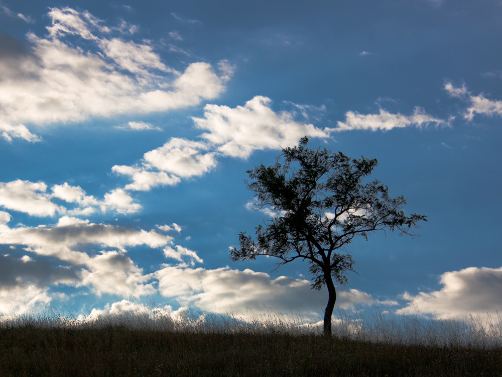 photo "***" tags: landscape, clouds, field