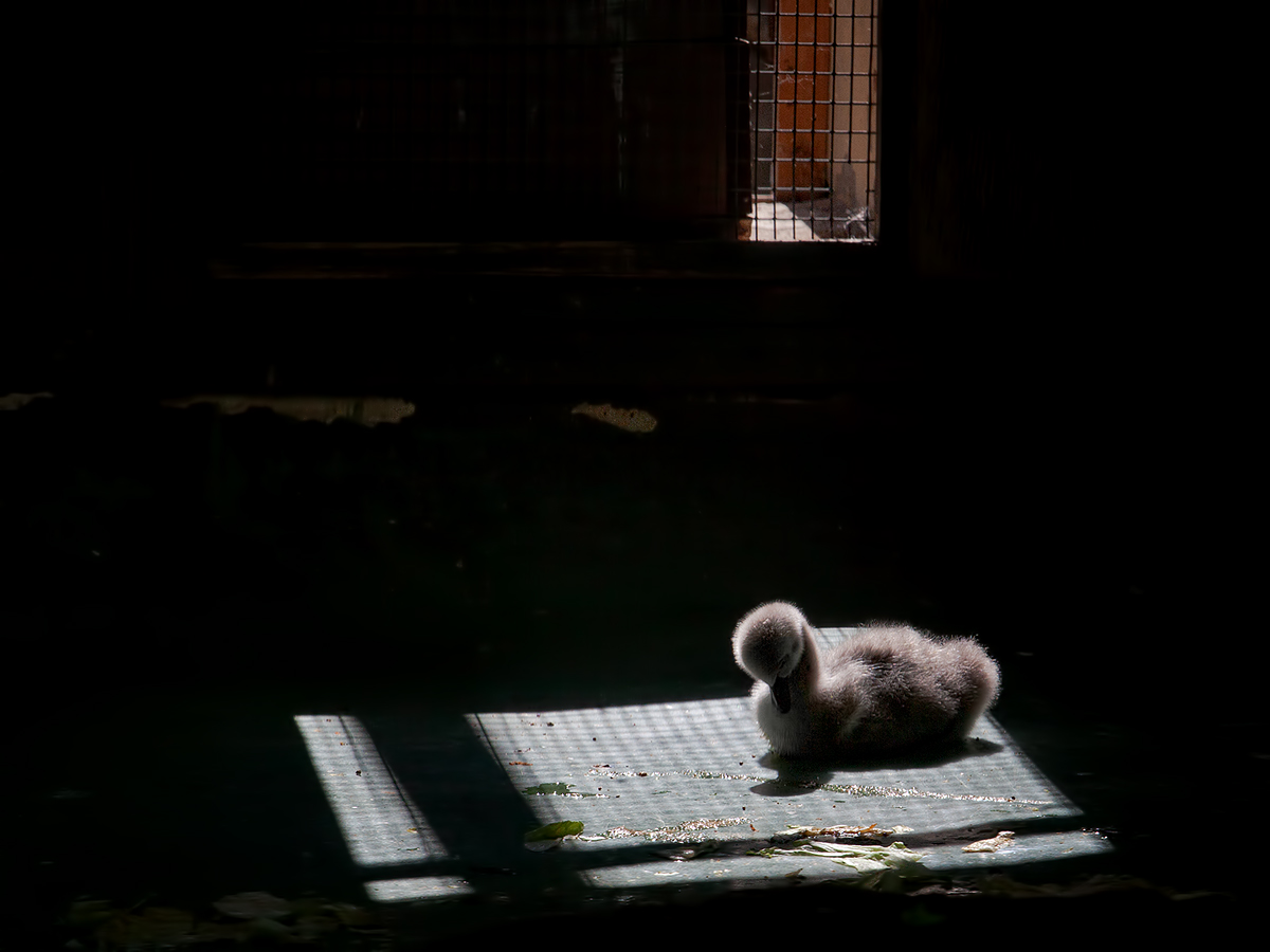 фото "В островке Света..." метки: природа, жанр, разное, 