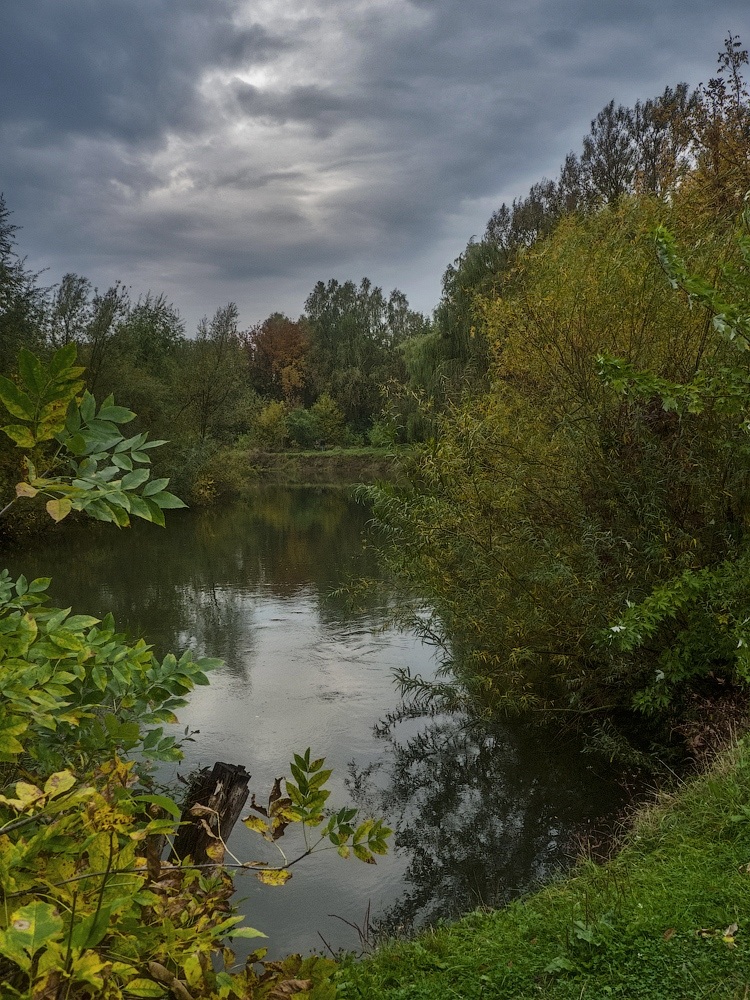 photo "Аutumn" tags: landscape, nature, river, sky, листья, тучи
