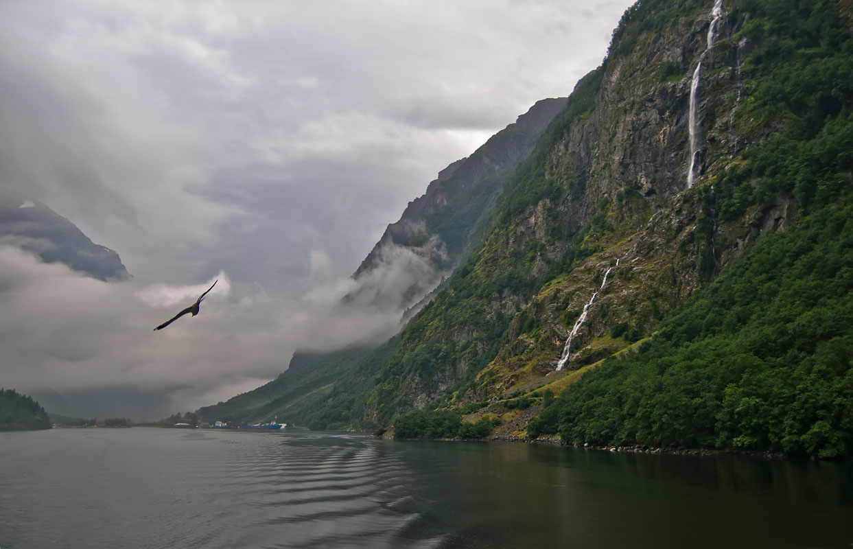 photo "***" tags: landscape, travel, nature, Norway, fog, mountains, rain, фоьрд, чайки