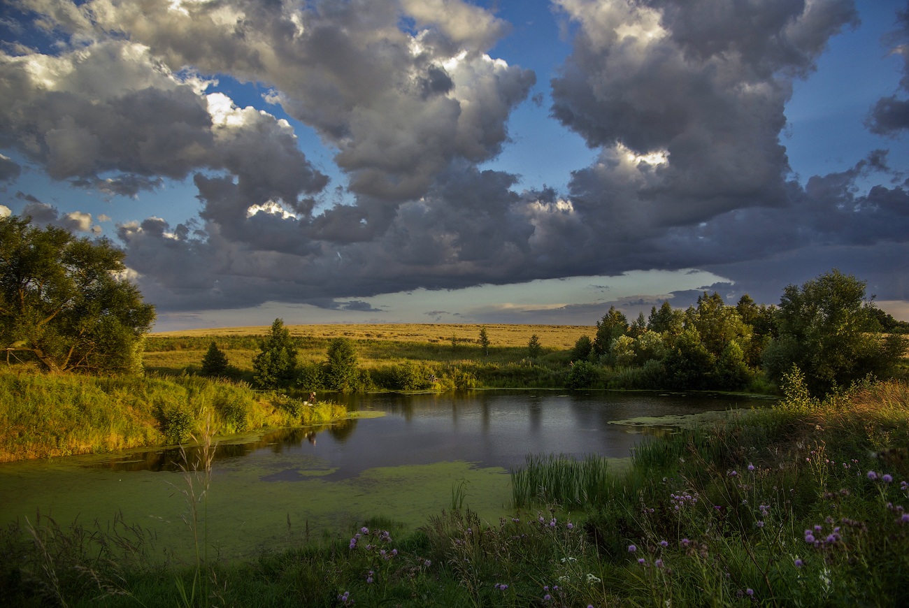 photo "One evening  a small fisherman ..." tags: landscape, nature, evening, summer, август, рыбачёк