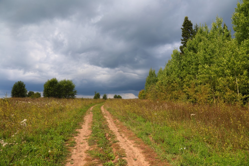 фото "Перед грозой" метки: природа, Россия, лес