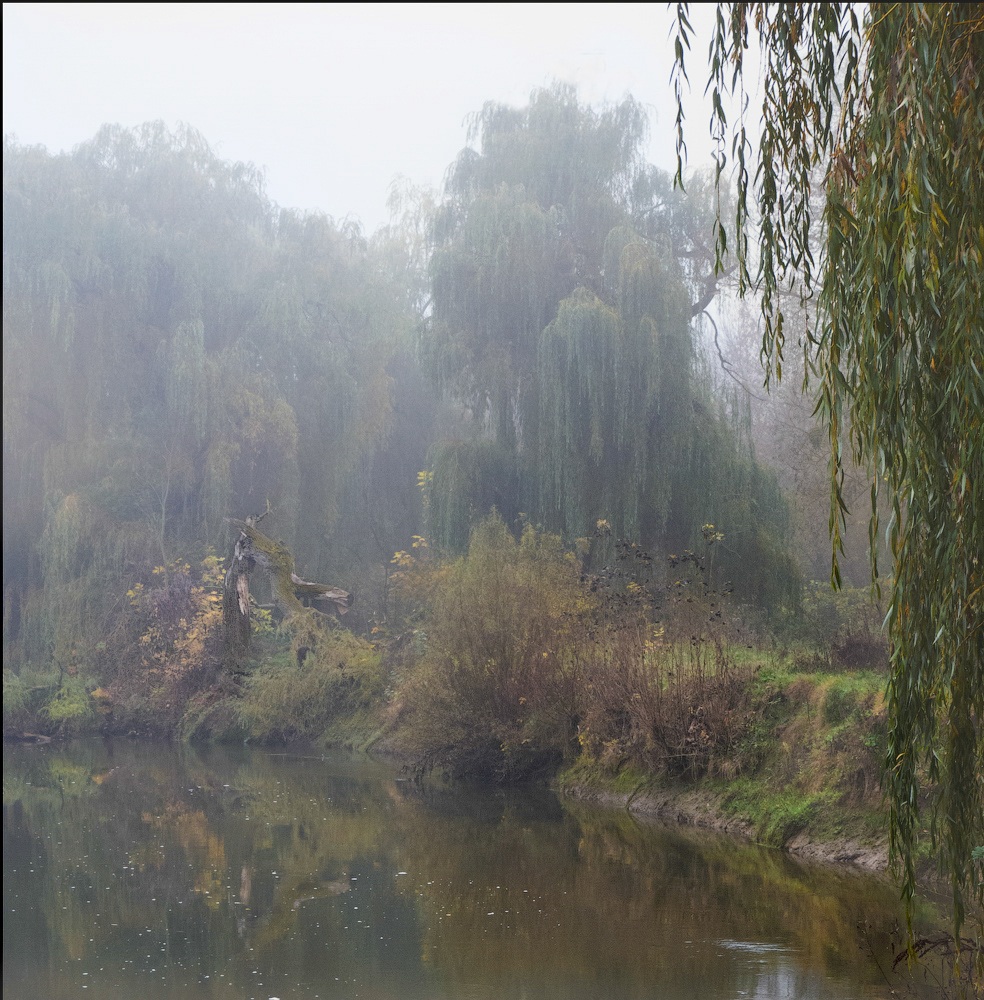 photo "There are miracles, there devil roams ..." tags: landscape, nature, fragment, fog, river, tree, фигура