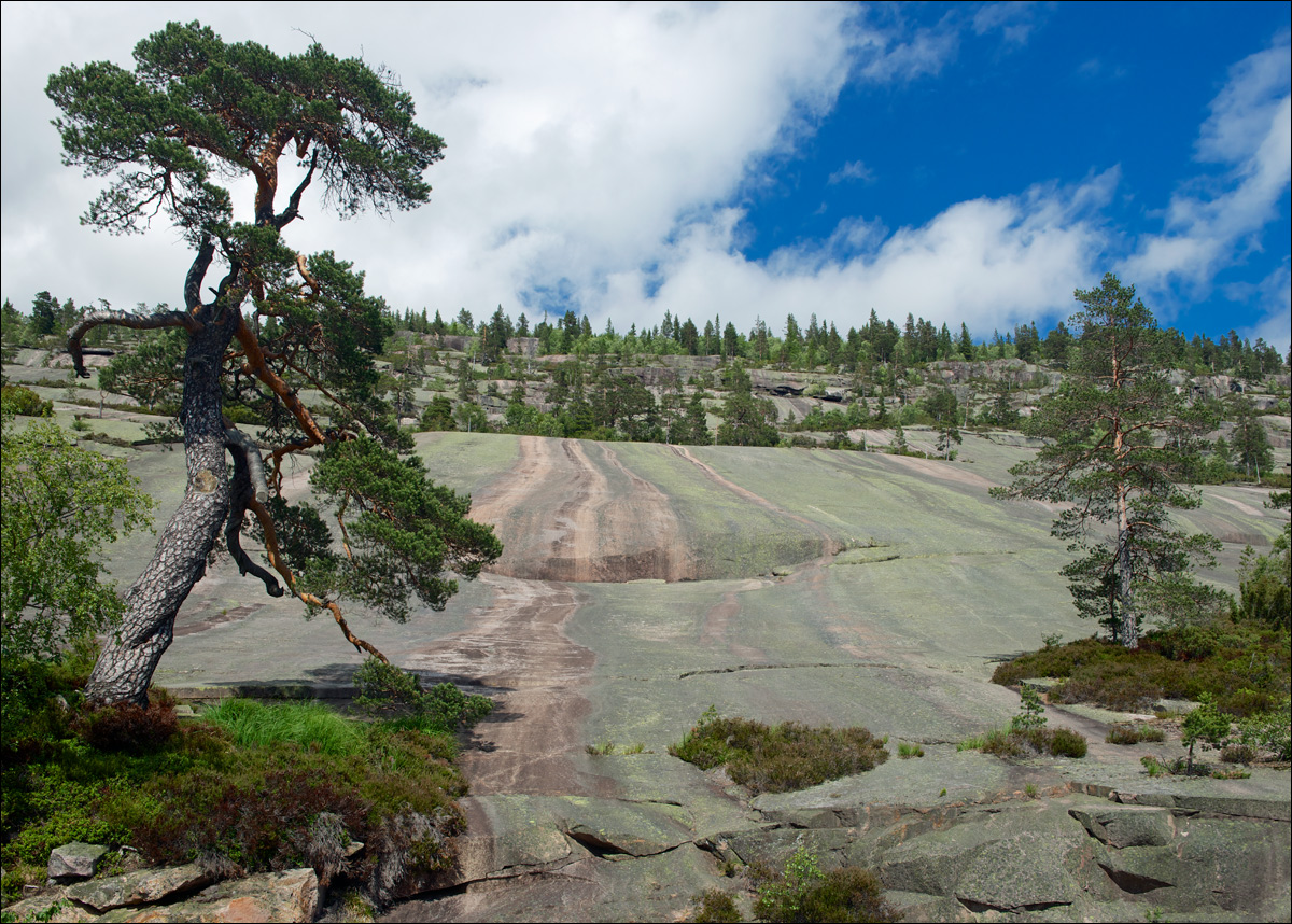 photo "Granite slope" tags: landscape, travel, гора, гранит, склон, сосна