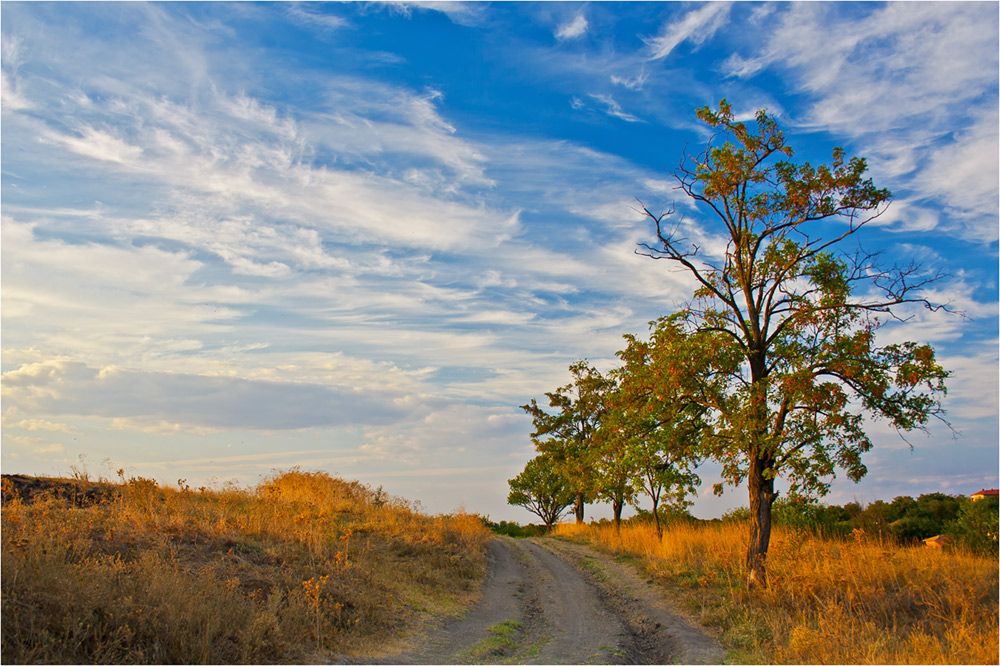 photo "***" tags: landscape, field