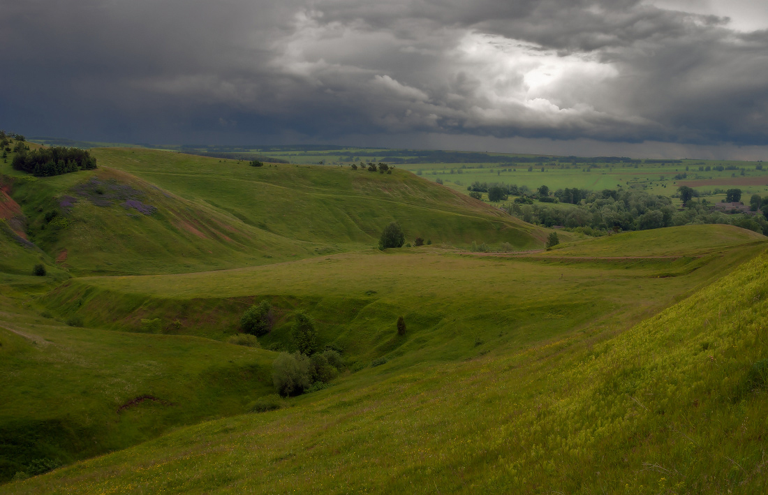 photo "***" tags: landscape, flowers, forest, grass, summer, деревья, зелень, склоны, тучи