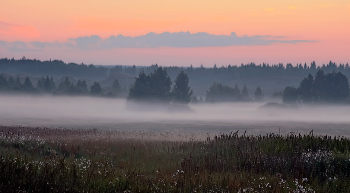 photo "***" tags: landscape, fog, summer, sunrise, август