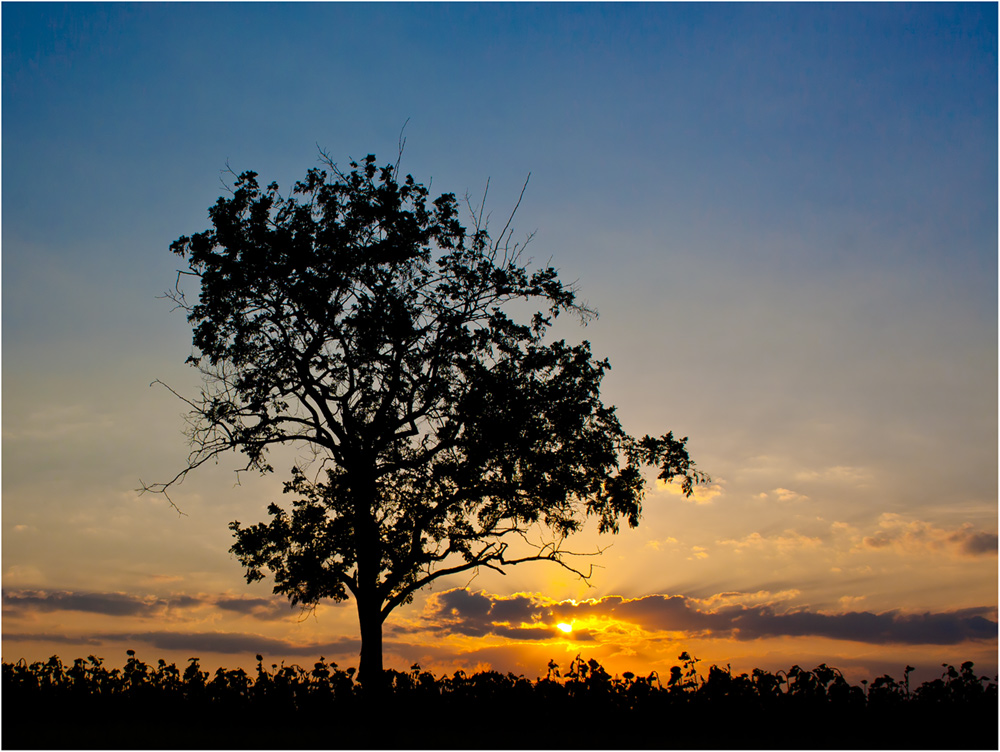 photo "***" tags: landscape, field
