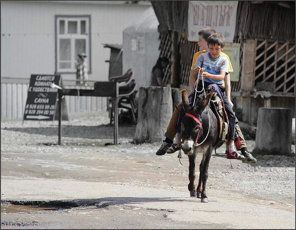 фото "Эх, прокачу!" метки: жанр, дети гор