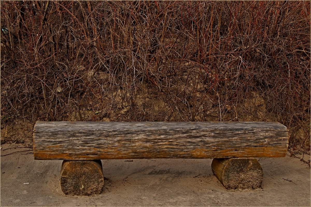 фото "Lonely bench" метки: интерьер, 