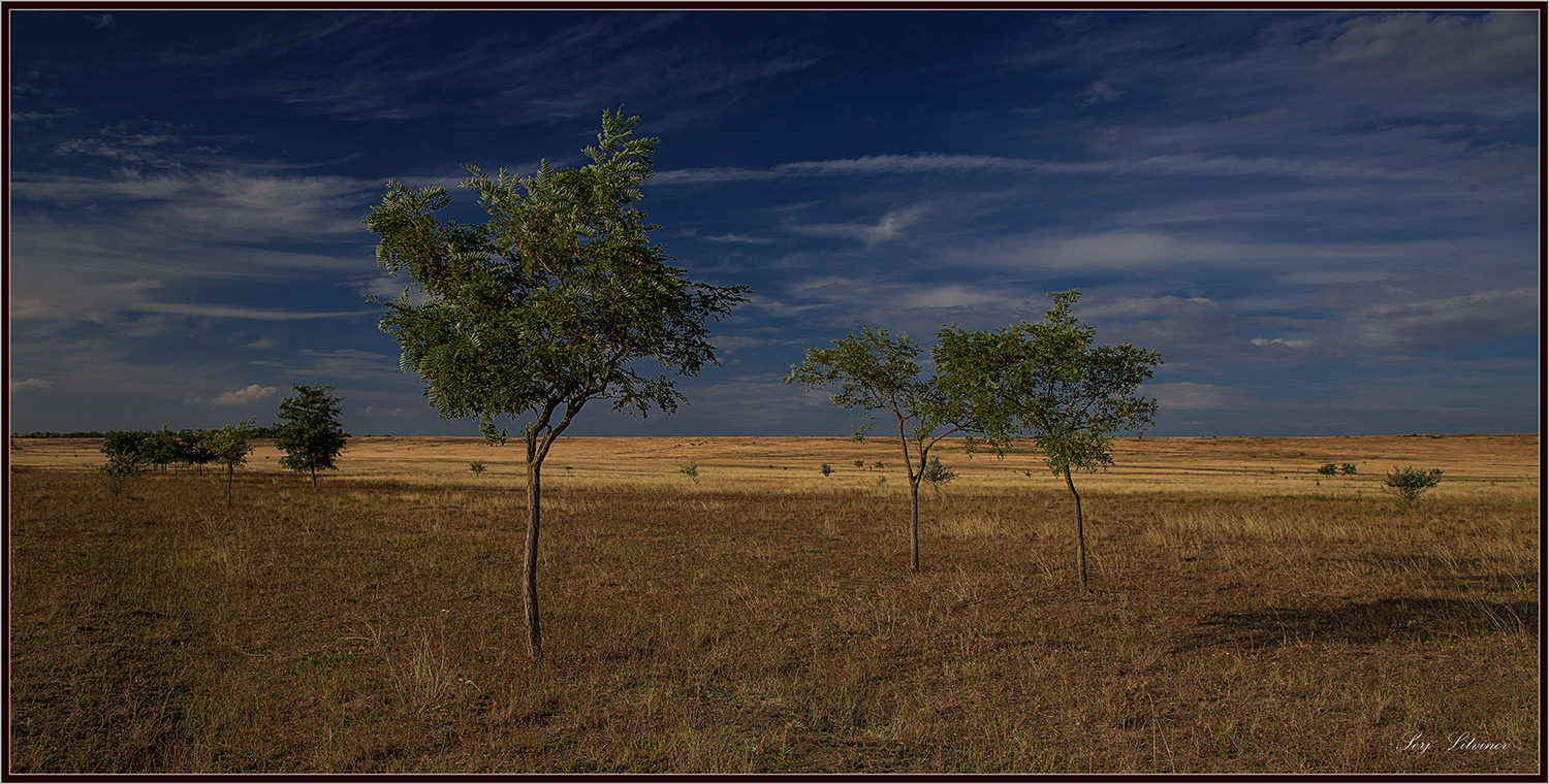 photo "***" tags: landscape, evening, summer