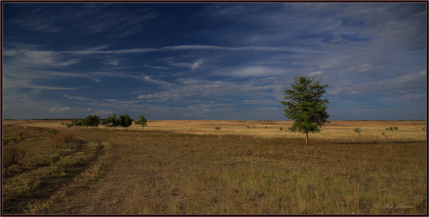 photo "***" tags: landscape, evening, summer