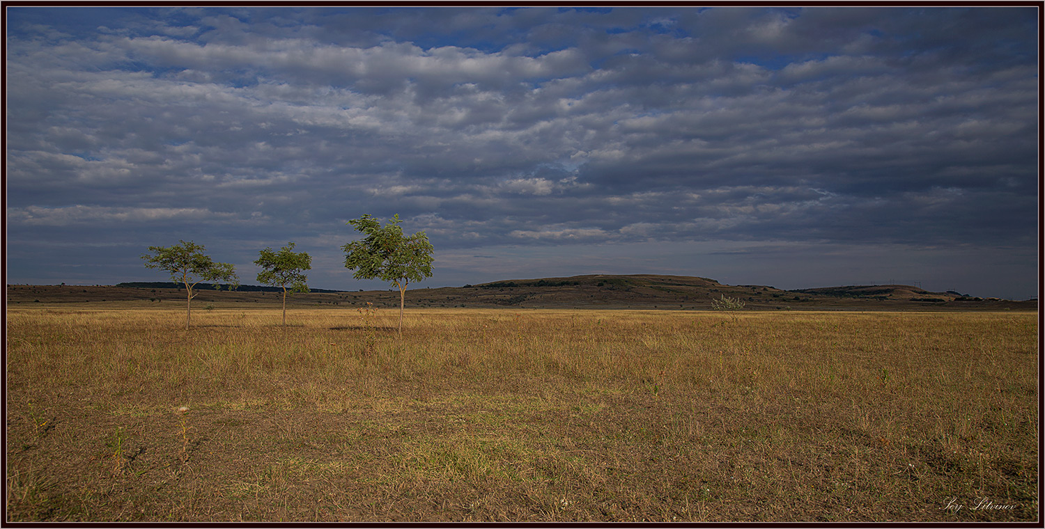 photo "***" tags: landscape, evening, summer