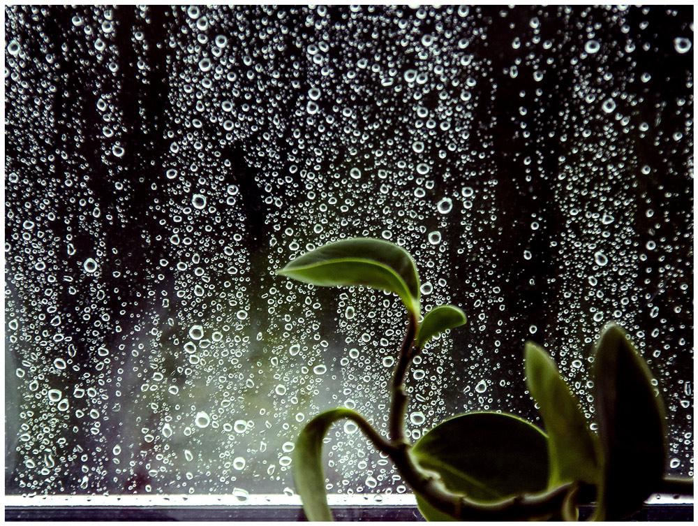 фото "Вспоминая лето...." метки: пейзаж, макро и крупный план, Азия, дождь, окно, осень