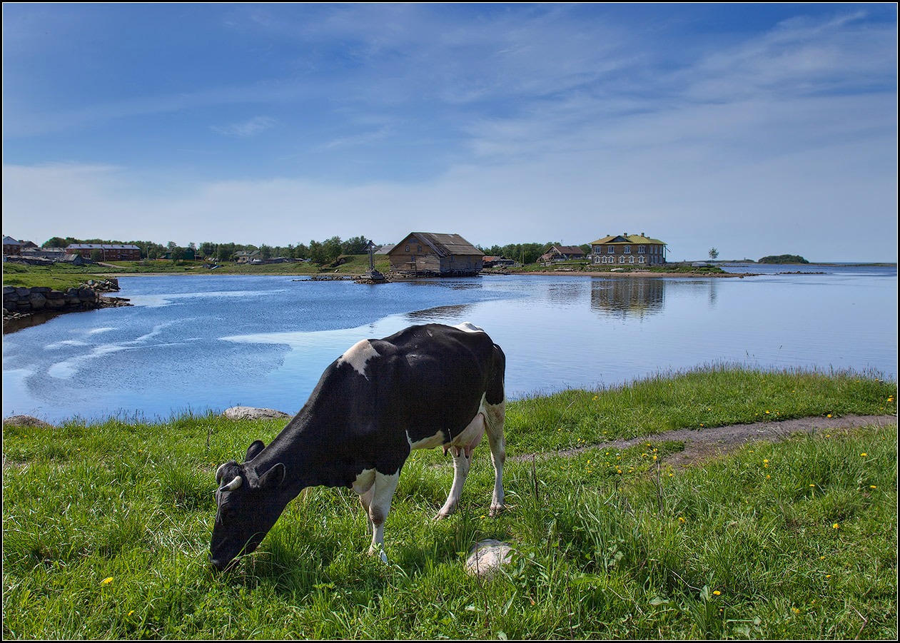 photo "milky Way" tags: landscape, nature, sea, Белое, Соловки, монастырь