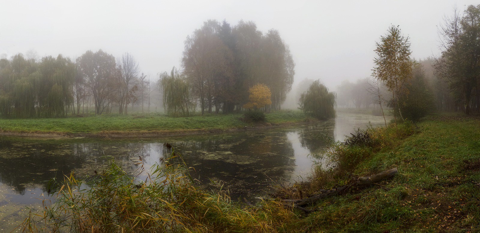 photo "Autumn morning old park ..." tags: landscape, nature, panoramic, autumn, fog, morning, water, канал