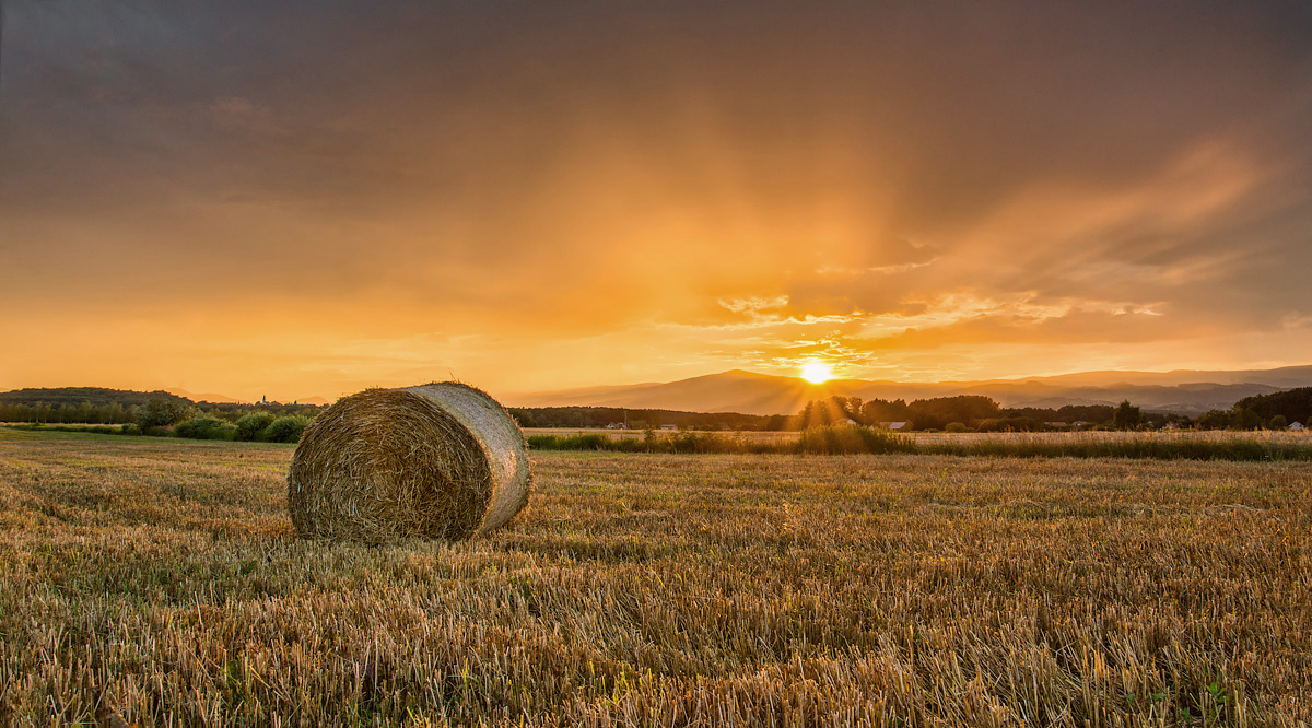 photo "Golden field" tags: landscape, nature, Pragersko, Slovenia, Slovenija, field, hay bale, sunset