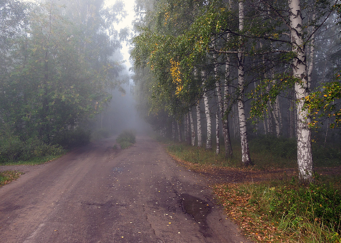 фото "Осень туманная" метки: , 