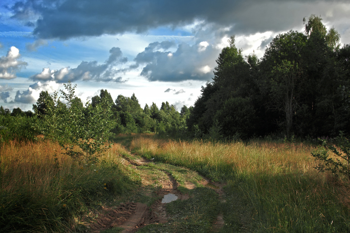 фото "Сельская дорожка" метки: пейзаж, природа, дорога, лес, осень, село