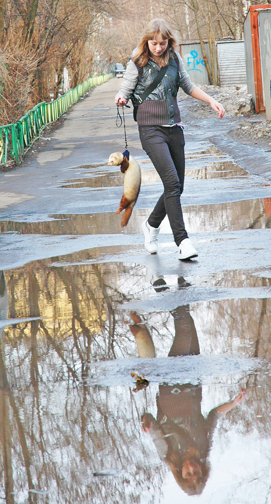 фото "Ханорек на прогулке" метки: жанр, 