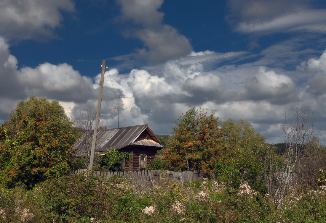 photo "***" tags: landscape, clouds, grass, september, забор, избушка, окошко, рябина