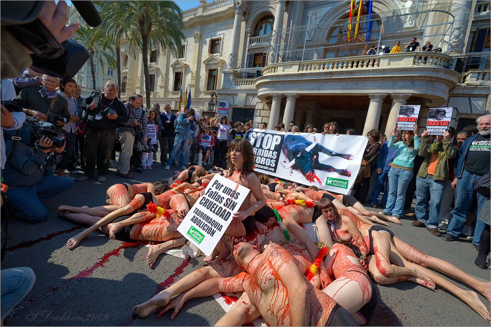photo "Stop corrida de toros" tags: genre, street, reporting, 