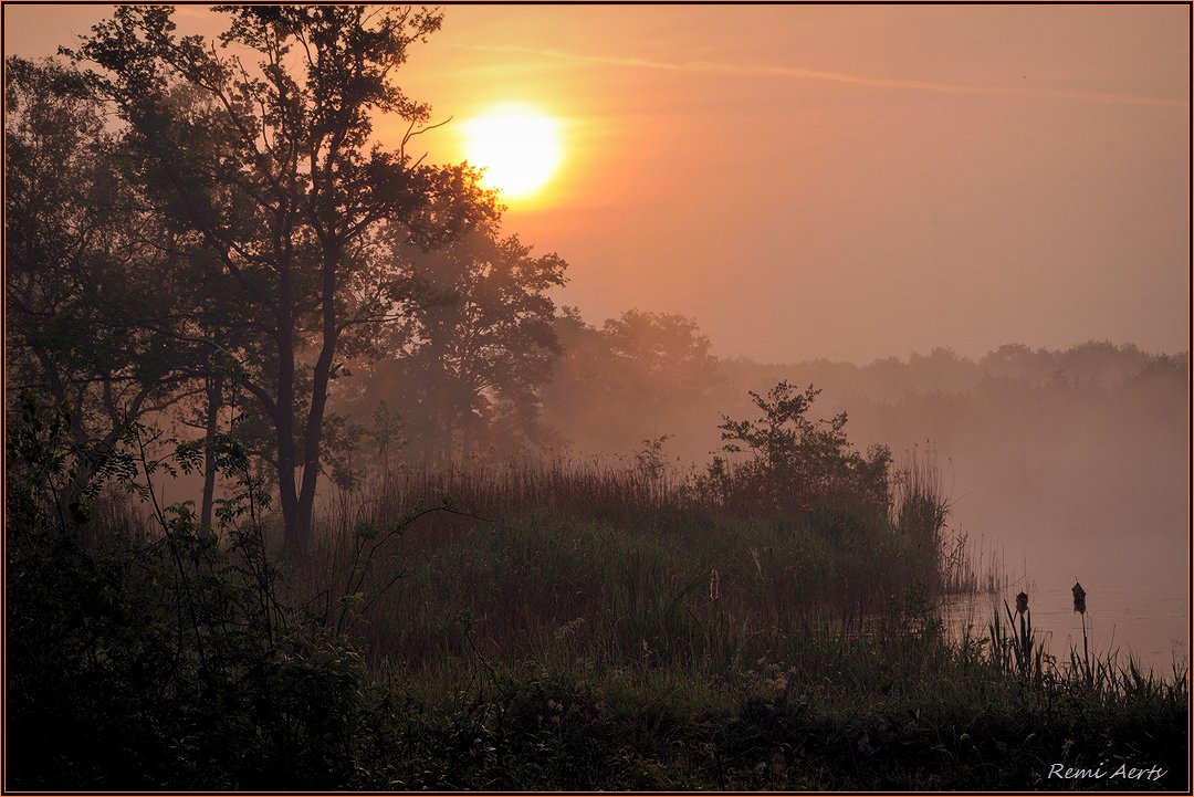 фото "***" метки: пейзаж, природа, fog, summer, рассвет