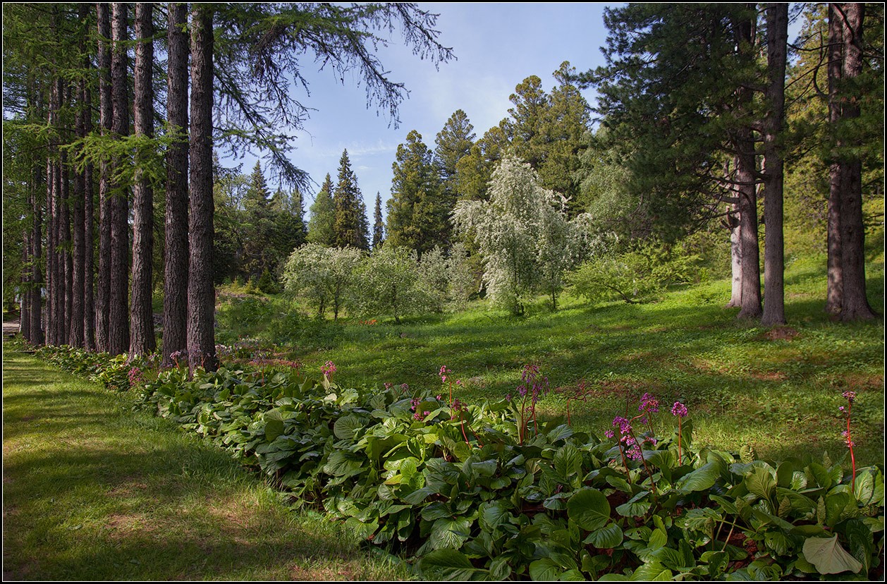 photo "Solovki" tags: landscape, nature, 