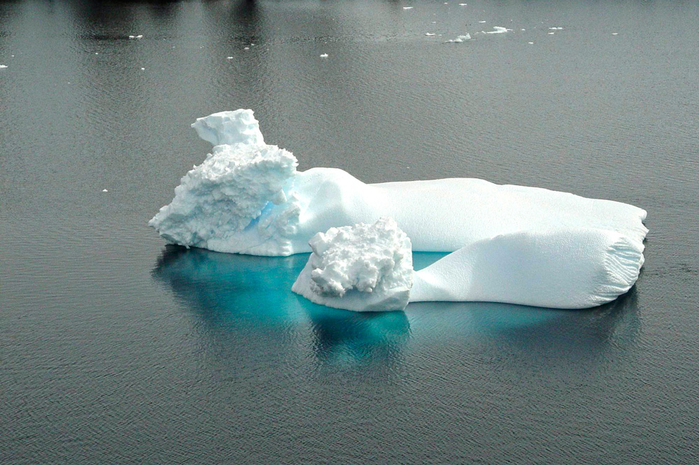 фото "Из серии "Антарктика"" метки: природа, 