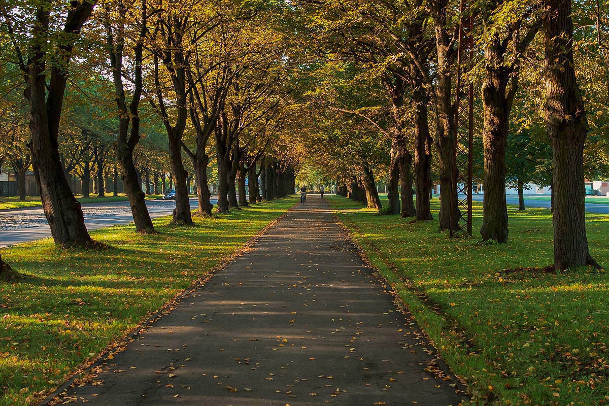 photo "***" tags: city, landscape, reporting, autumn, people, деревья