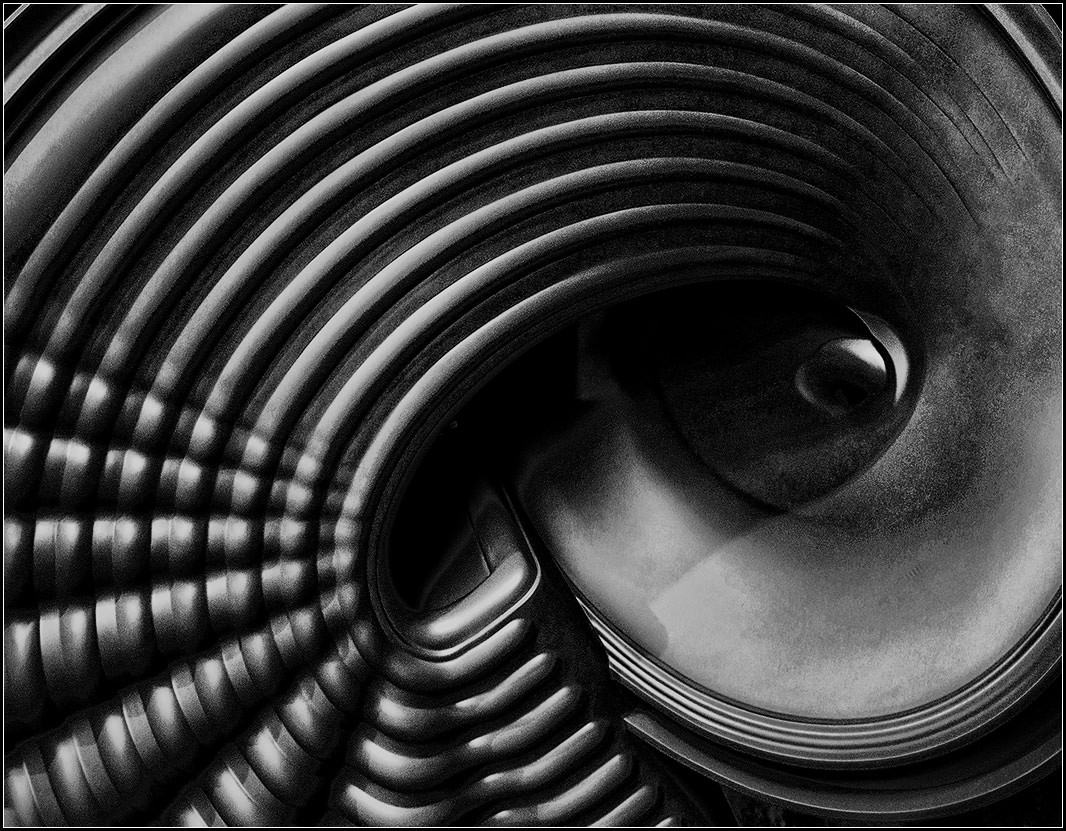 photo "curl" tags: black&white, misc., 