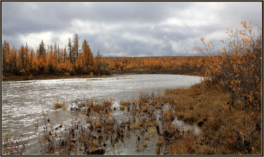 photo "***" tags: landscape, autumn, river, Якутия, тайг