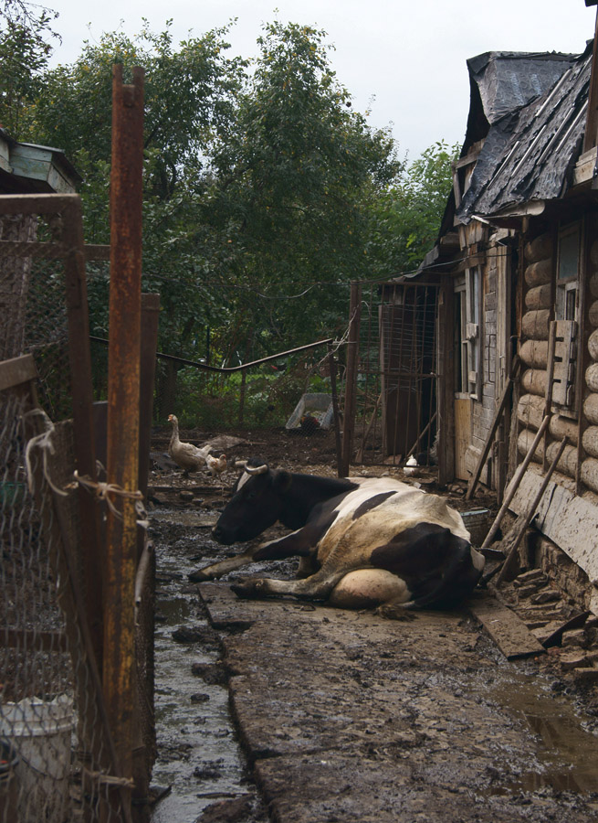 фото "Заглянуть за забор." метки: разное, жанр, 