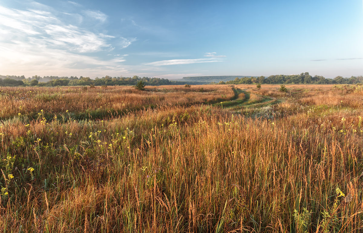 photo "***" tags: landscape, 