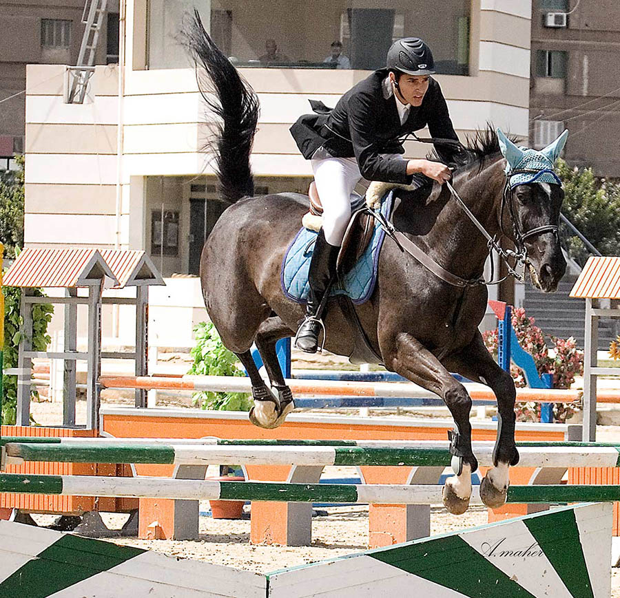 photo "SHOW JUMP" tags: sport, 