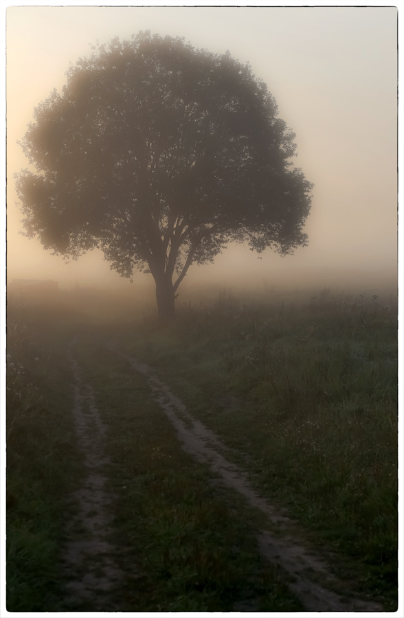 фото "Дорога в осень" метки: пейзаж, природа, рассвет, туман